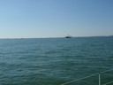 thumb_0902FL_035.jpg