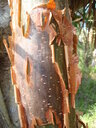 thumb_0902FL_039.jpg