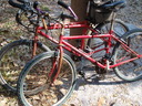 thumb_0902FL_041.jpg