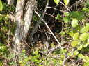 thumb_0902FL_042.jpg