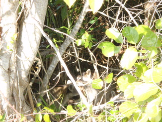 thumb_0902FL_043.jpg