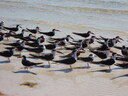 thumb_0902FL_047.jpg