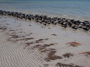 thumb_0902FL_048.jpg