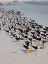 thumb_0902FL_049.jpg