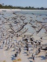 thumb_0902FL_050.jpg