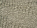 thumb_0902FL_055.jpg