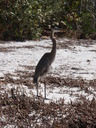 thumb_0902FL_056.jpg