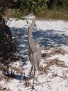 thumb_0902FL_057.jpg