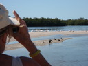 thumb_0902FL_064.jpg