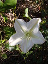 thumb_0902FL_065.jpg