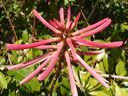 thumb_0902FL_066.jpg