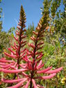thumb_0902FL_067.jpg