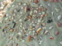 thumb_0903FL_001.jpg