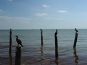 thumb_0903FL_012.jpg