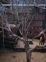 thumb_0903FL_024.jpg