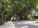 thumb_0903FL_031.jpg