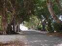 thumb_0903FL_032.jpg