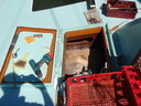 thumb_0903FL_037.jpg