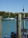 thumb_0903FL_039.jpg
