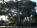 thumb_0903FL_041.jpg
