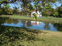thumb_0903FL_062.jpg