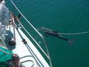 thumb_0903FL_064.jpg