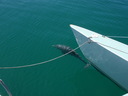 thumb_0903FL_065.jpg