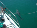 thumb_0903FL_067.jpg