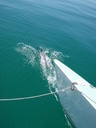 thumb_0903FL_069.jpg