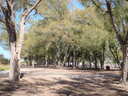 thumb_0903FL_076.jpg