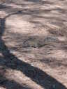 thumb_0903FL_077.jpg