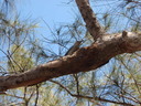 thumb_0903FL_085.jpg