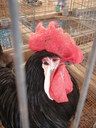 thumb_0903FL_096.jpg