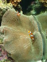 thumb_0903FL_107.jpg