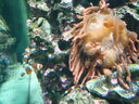 thumb_0903FL_108.jpg