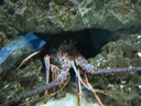 thumb_0903FL_110.jpg
