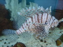 thumb_0903FL_117.jpg