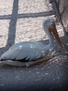 thumb_0903FL_121.jpg