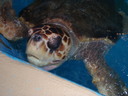 thumb_0903FL_123.jpg