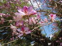 thumb_0903FL_149.jpg