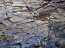 thumb_0904carbis_028.jpg