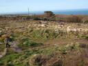 thumb_0904carbis_033.jpg