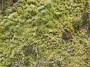 thumb_0904carbis_039.jpg