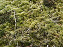 thumb_0904carbis_041.jpg