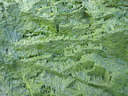 thumb_0904carbis_062.jpg