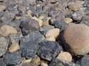 thumb_0904carbis_080.jpg