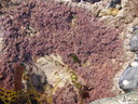 thumb_0904carbis_082.jpg