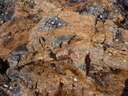 thumb_0904carbis_084.jpg