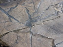 thumb_0904carbis_085.jpg