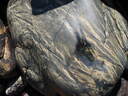 thumb_0904carbis_087.jpg